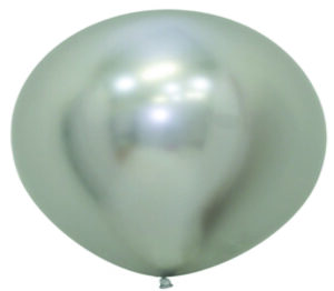 24 Reflex Silver