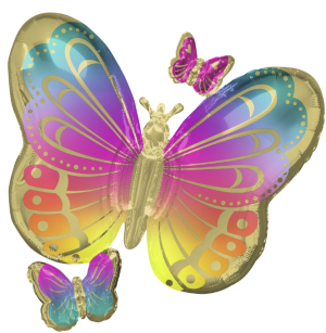 Butterfly Colorful