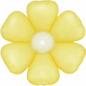PS YDZY 24 50 1 B
