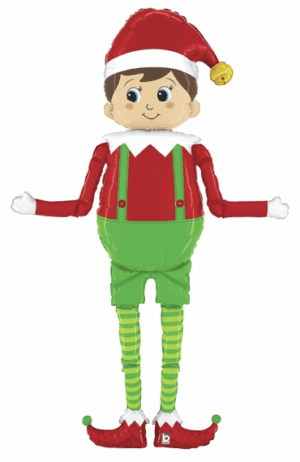 Special Delivery Elf