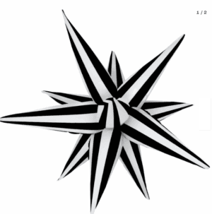 Starburst Black White